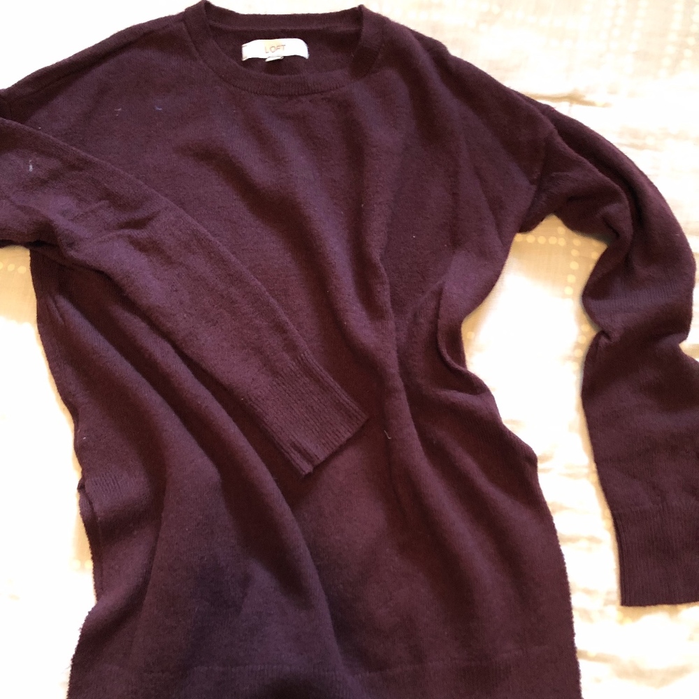 LOFT sweater